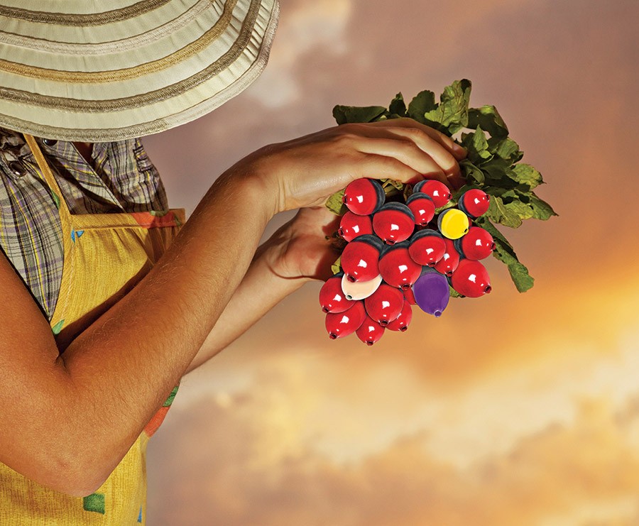 Environmental melon ball radishes