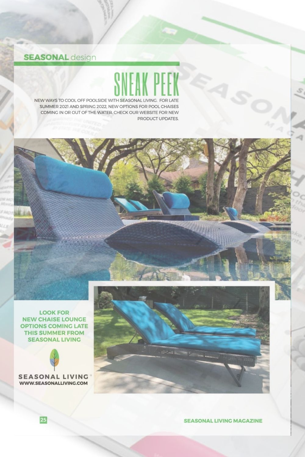 Best In Pool Chaises for Seasonal Living