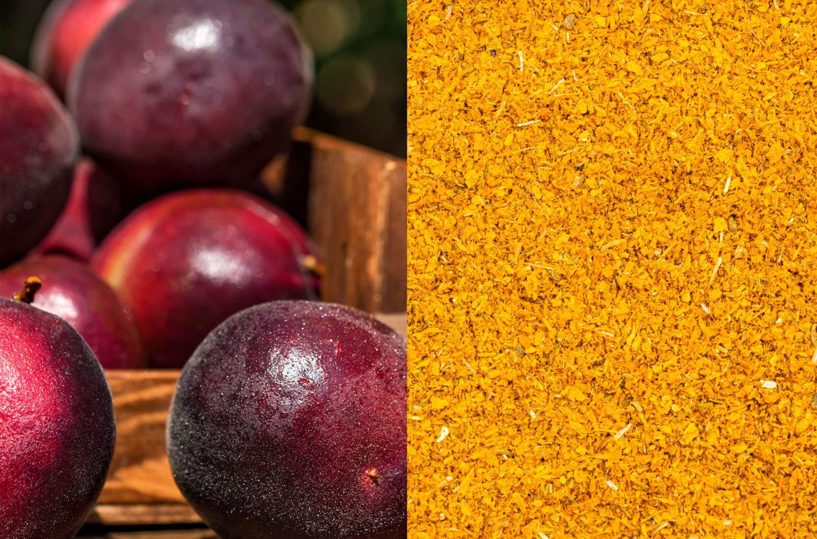 color inspiration plum and saffron